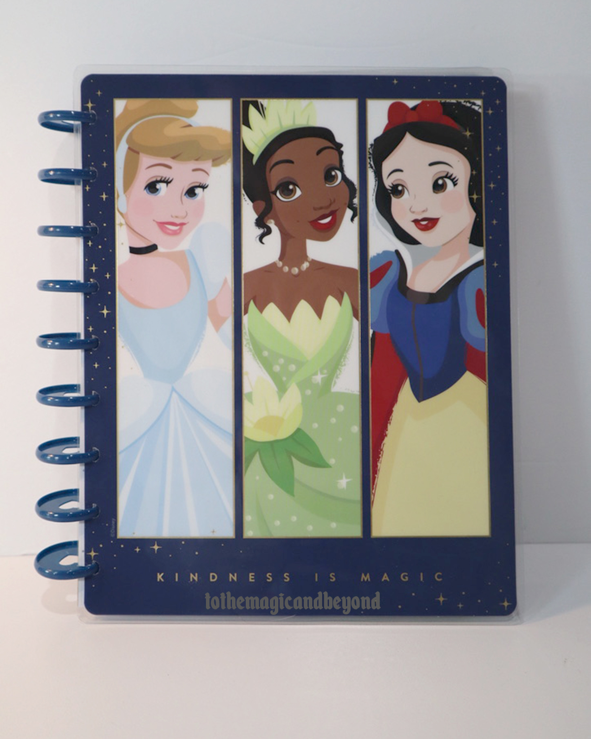 Our Disney X Happy Planner Purchase! To The Magic And Beyond